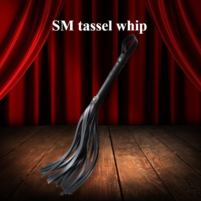 SM Leather Whip for Punishment - Leatherwork Tool Kit avis et prix
